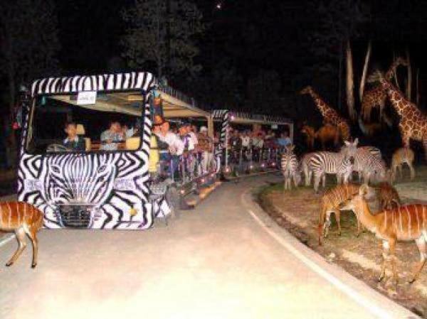 Chiangmai Night Safari Resort 清邁 外观 照片